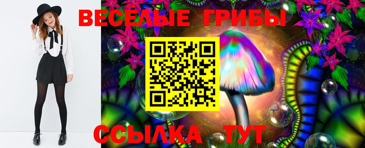 Псилоцибиновые грибы Psilocybe Нефтекумск