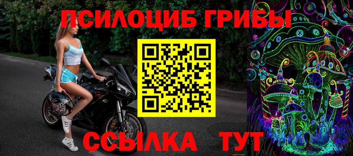 Нефтекумск  Псилоцибиновые грибы прущие грибы  Псилоцибиновые грибы Psilocybe  Вход с VPN 