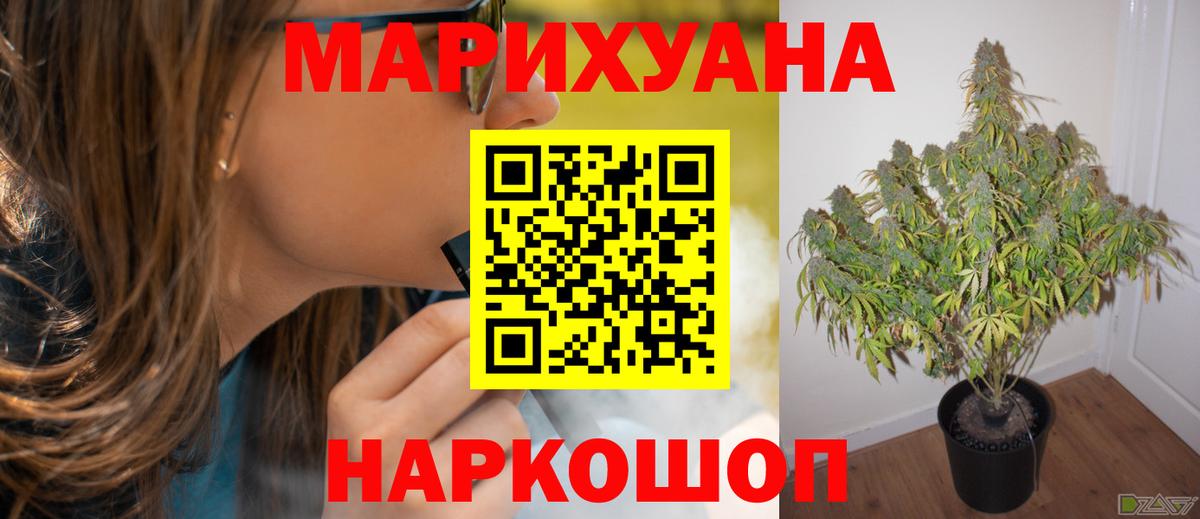 Марихуана марихуана  Шишки марихуана сатива  Вход с VPN  Нефтекумск  Шишки марихуана планчик 
